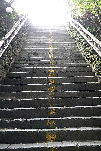 貴重な体験