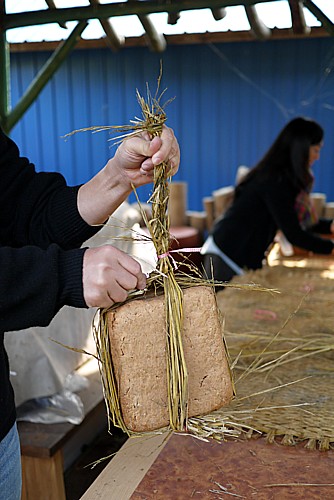 納豆菌