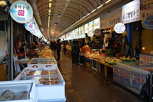 韓国情報ブログ