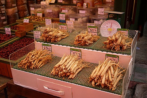 高麗人参