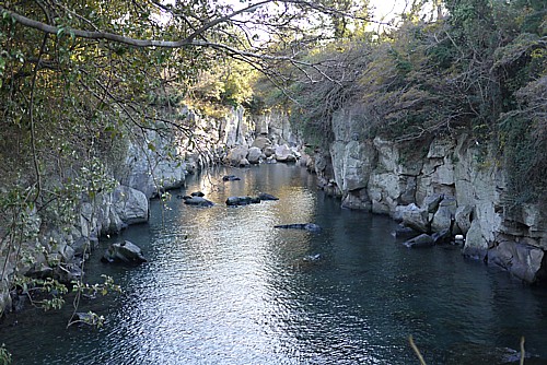 龍の巣