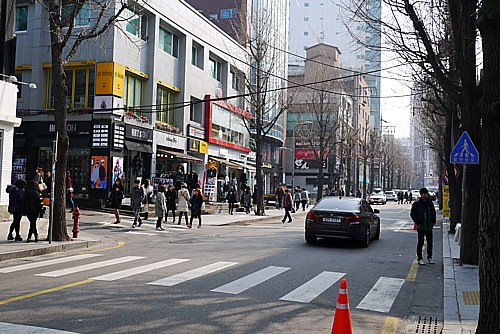 街路樹通り
