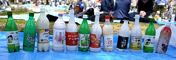 準備したマッコリ