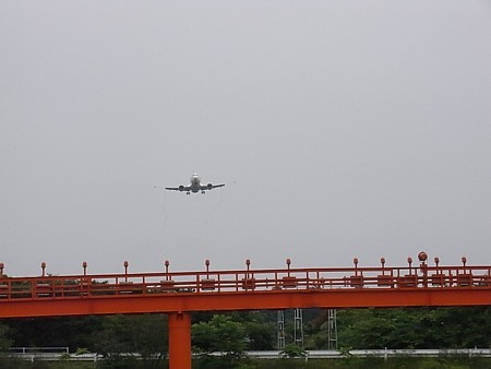 興奮