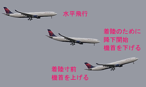 白白赤赤がオンコース