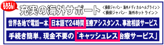 損保ジャパン