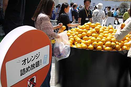 詰め放題