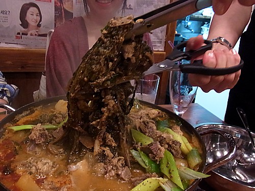 大根の葉
