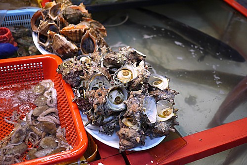 鮮魚