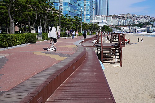 散策路
