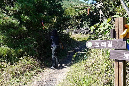 散策路