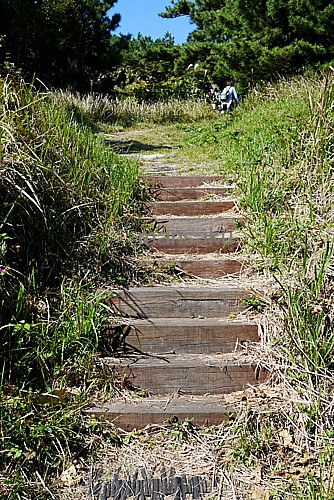 遊歩道整備
