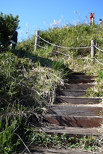 いい運動