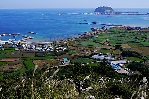 韓国旅行ブログ