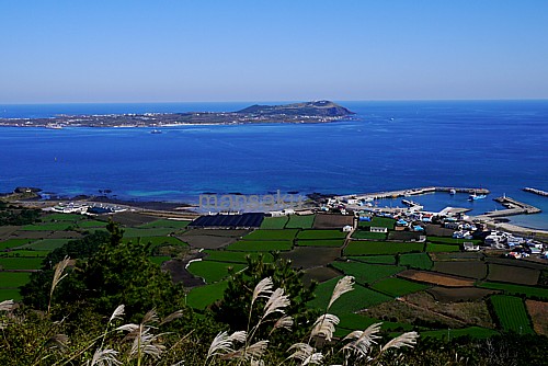 展望台からの眺め