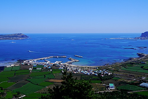 済州島観光