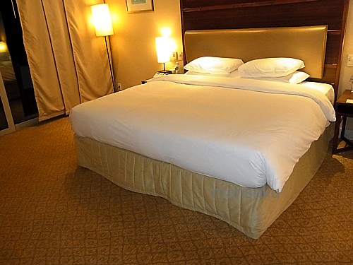 Hyatt Regency