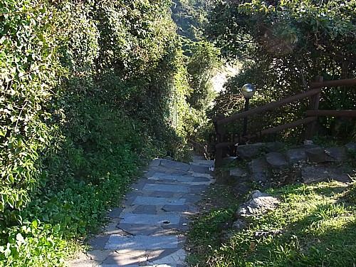 連絡路