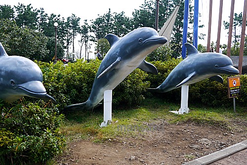 イルカ