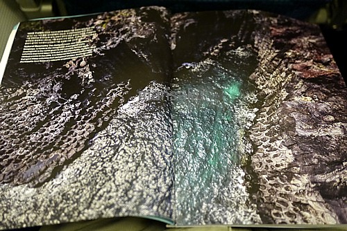 機内誌で紹介