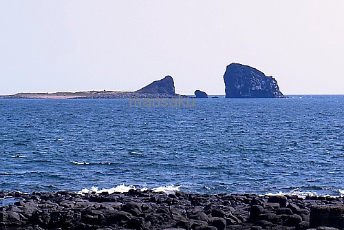 兄弟島