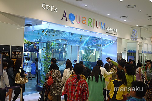 ソウル COEX