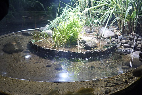 水族館