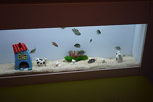 水族館