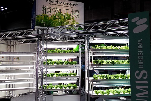 植物工場