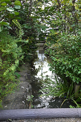 親水