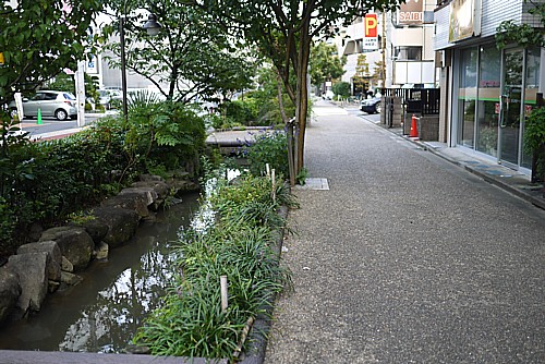 雰囲気最高