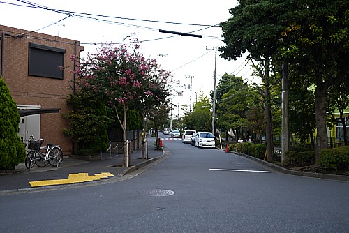 散歩道