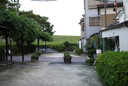 江戸川土手