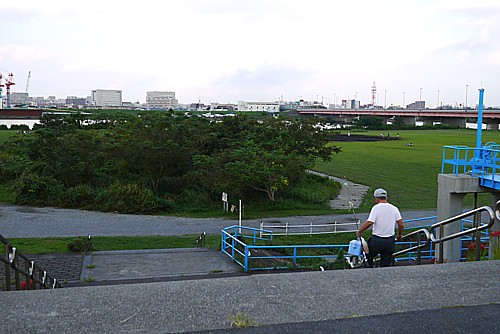 江戸川
