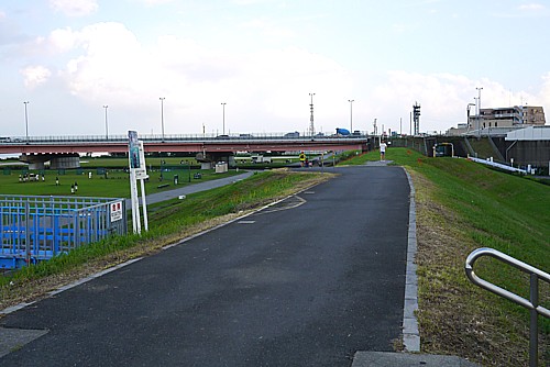 江戸川河川敷