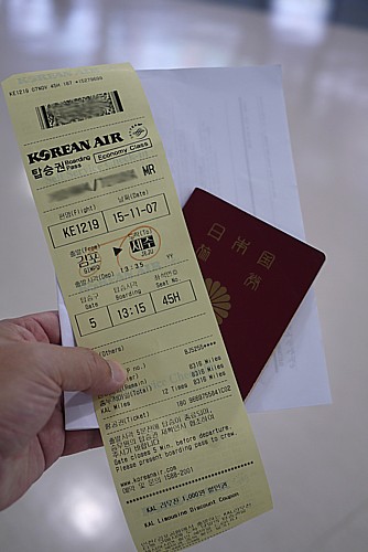 国内線チケット