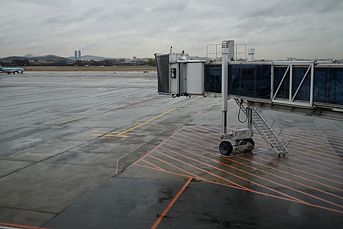 飛行機いません