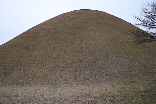 公園化