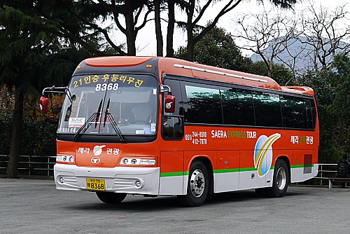 bus