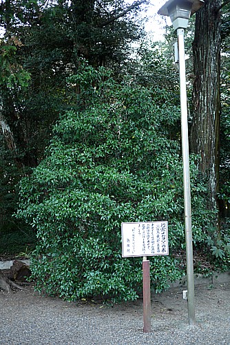 パワースポット