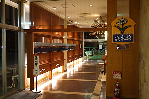 浜木綿