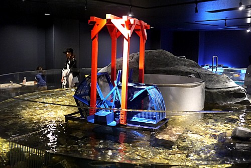 模型展示