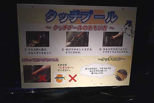 触ることが可能