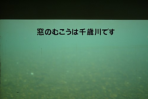 実千歳川