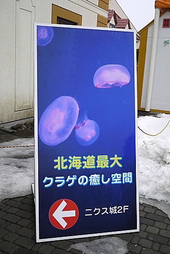 癒される空間