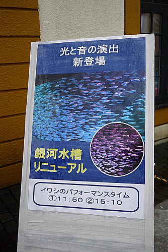銀河水槽