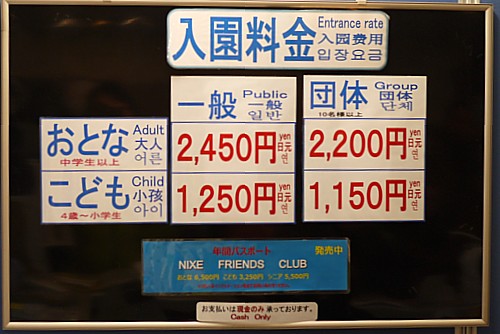 料金
