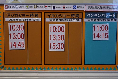 スケジュール