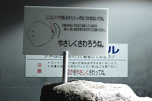 安全対策