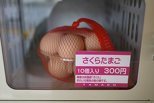 さくらたまご